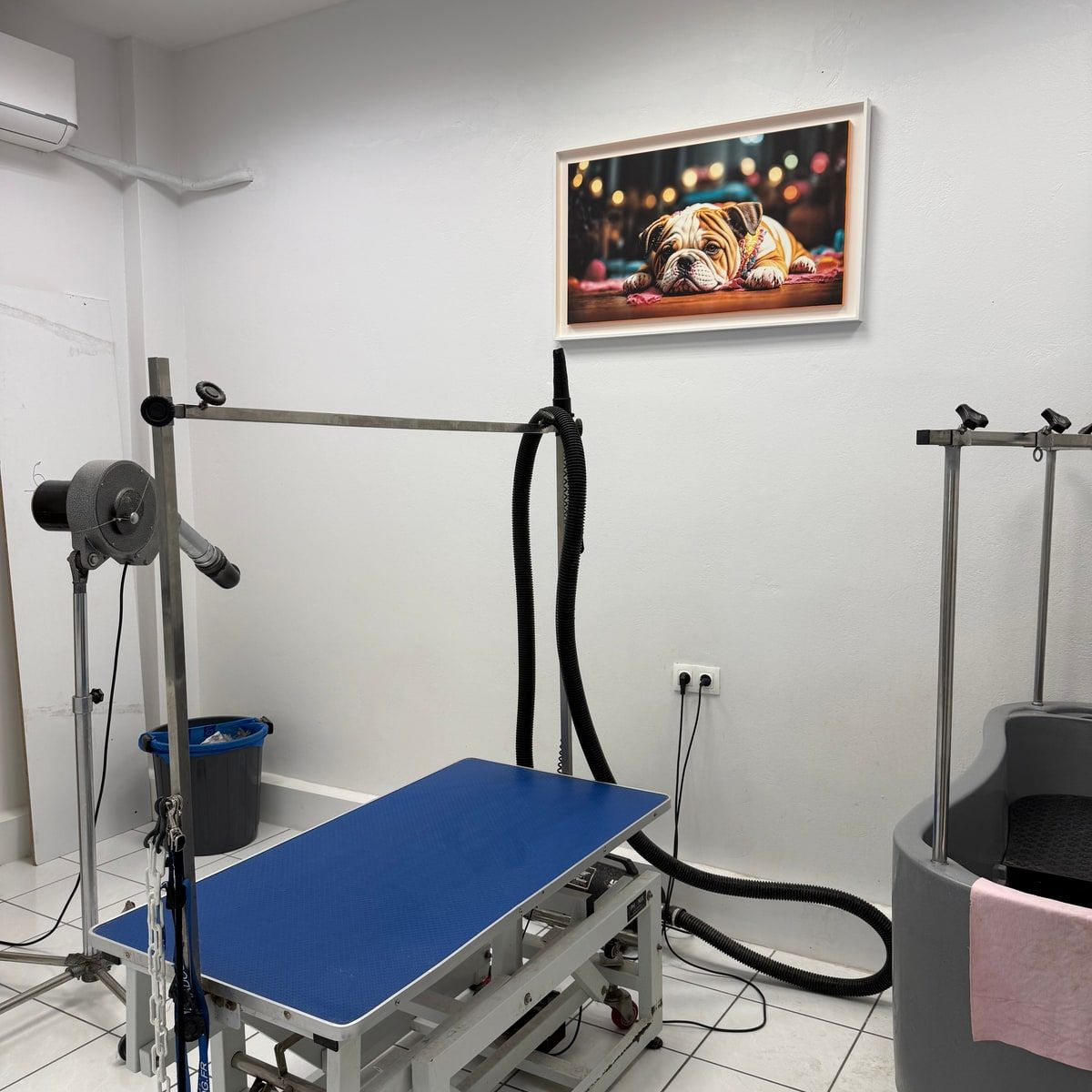 Ο χώρος grooming με το τραπέζι εργασίας, τον βραχίονα στήριξης και τον επαγγελματικό στεγνωτήρα